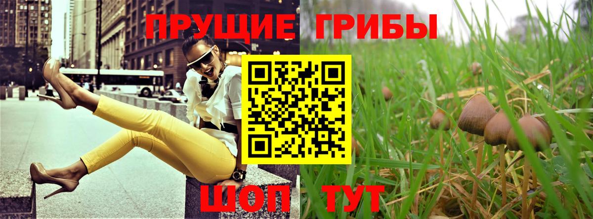 наркотики  Вход с VPN  Когалым  Галлюциногенные грибы GOLDEN TEACHER 
